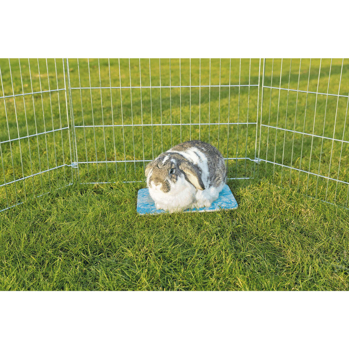 V6H0A1A01F1B8EB34F06BB26833778B6E8DR7446201P9